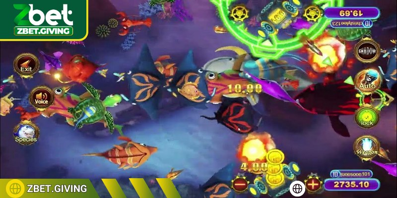 Nên chọn level thi đấu phù hợp với khả năng